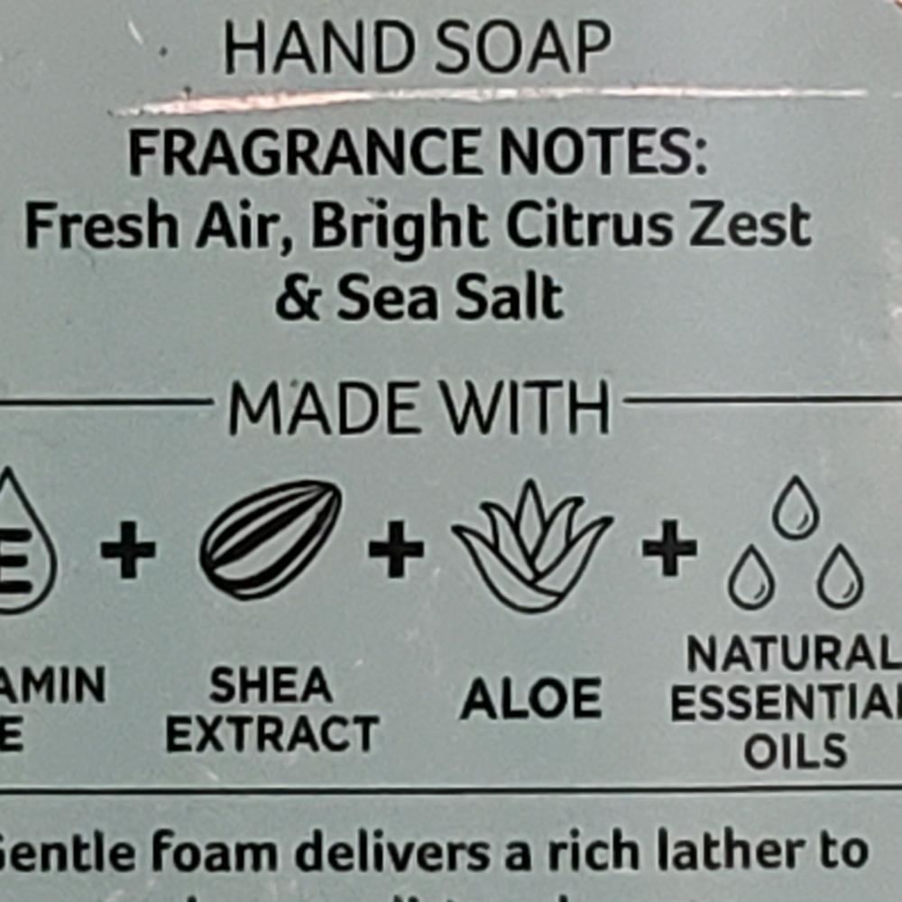 BBW FRESH AS A DAISY BRILLIANT BLUE SKY GENTLE FOAMING HAND SOAP X5 - Picture 2 of 2